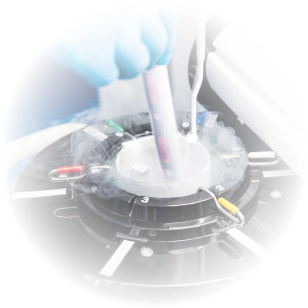 Gametia BGMesa de trabajo 1